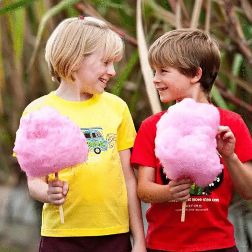 Petreceri copii cu vata de zahar