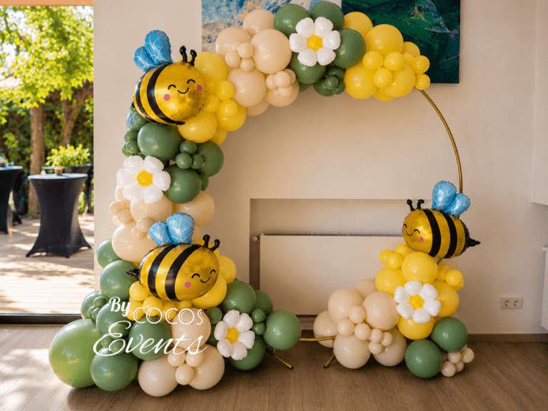 Decor Baloane Albinuta Botez