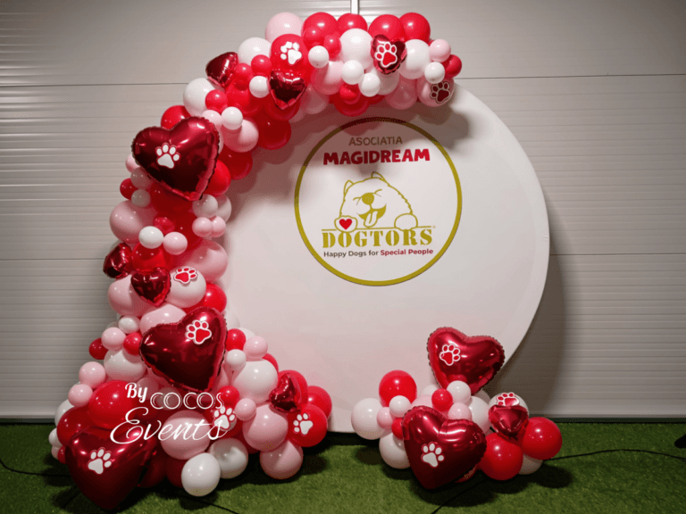 Decor Baloane Ziua Indragostitilor pentru Companie